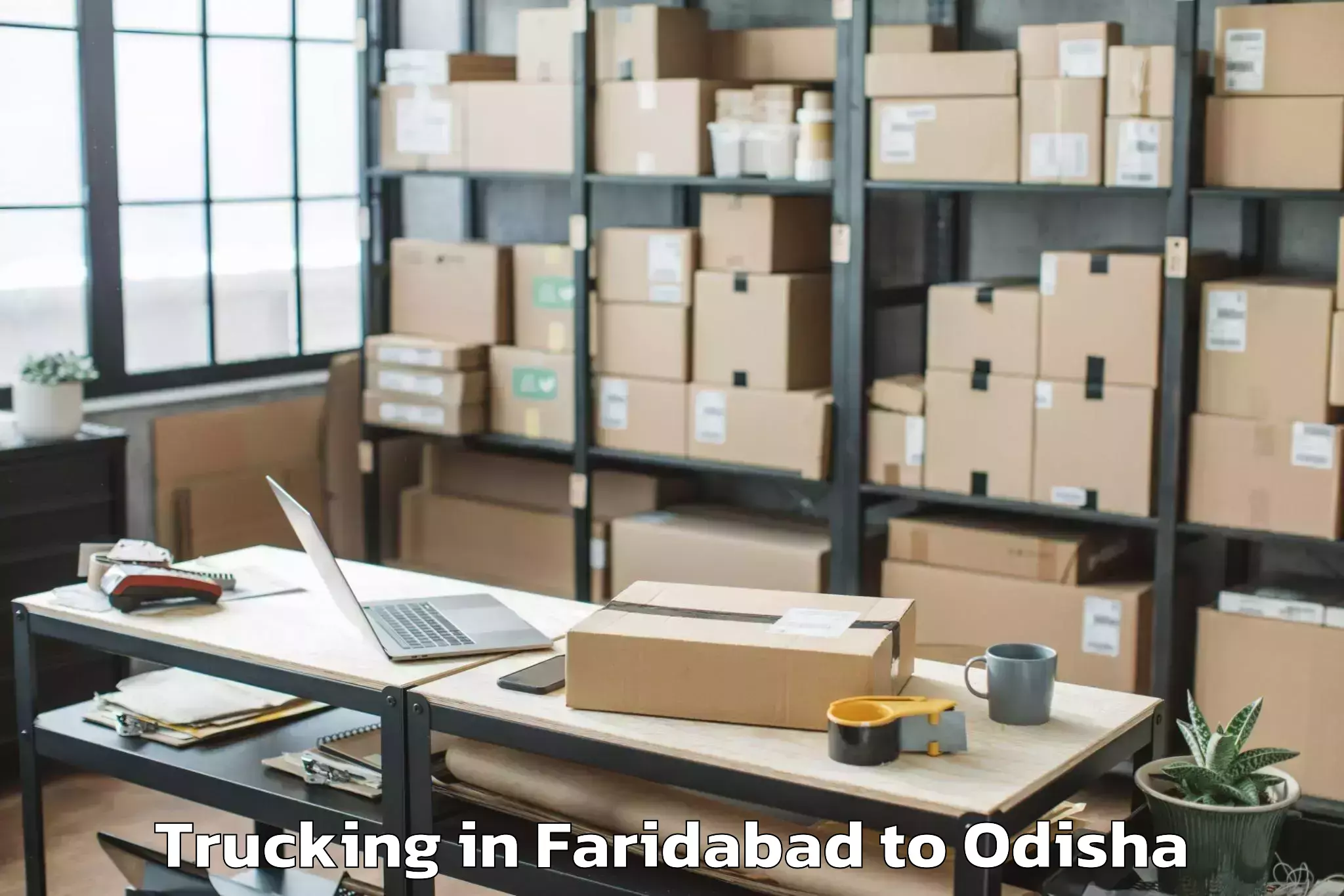 Faridabad to Delang Trucking